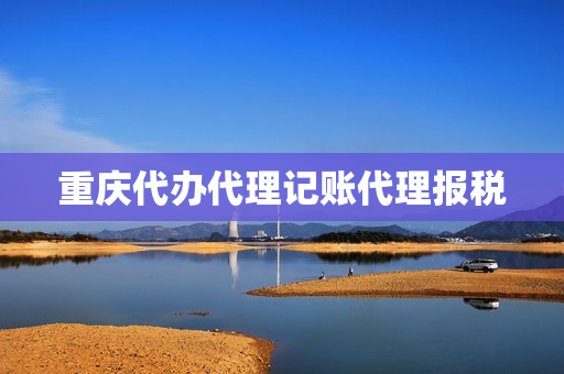 重庆代办代理记账代理报税(代理记账报税一年多少钱)