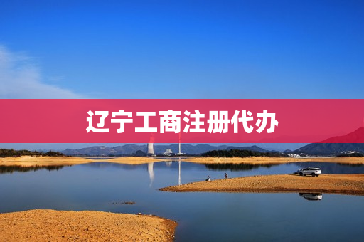 辽宁工商注册代办(辽宁省工商营业注册平台)
