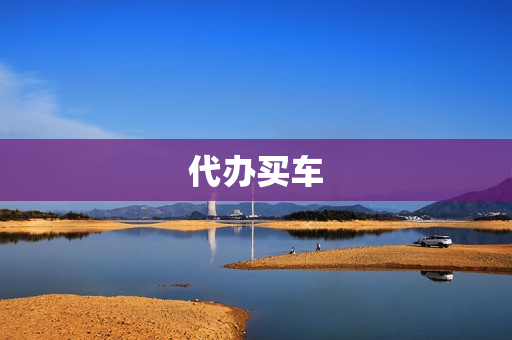 代办买车(可以代替别人买车吗)