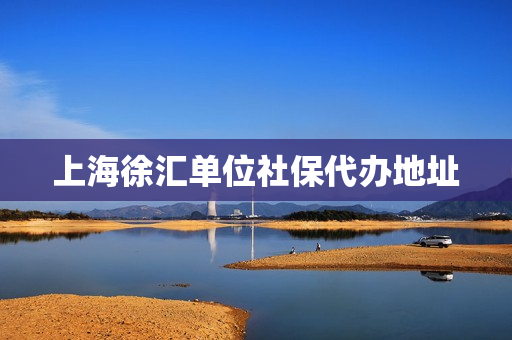 上海徐汇单位社保代办地址(上海徐汇社保局地址查询)