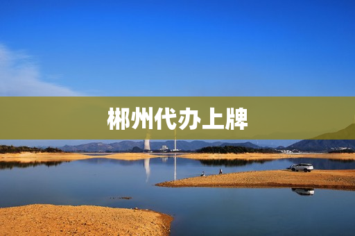 郴州代办上牌(郴州电动车上牌)