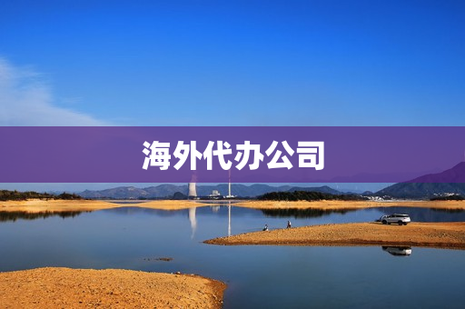 海外代办公司(公证代办公司)