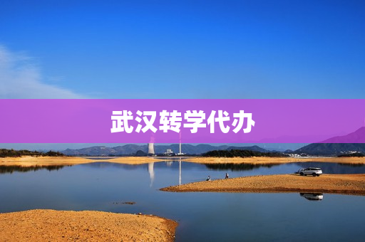 武汉转学代办(武汉市转学政策)