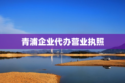 青浦企业代办营业执照(代办注销营业执照)