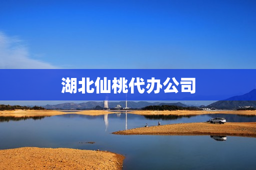湖北仙桃代办公司(湖北仙桃公司)