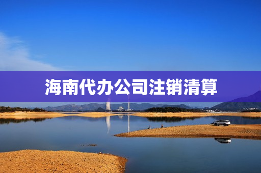 海南代办公司注销清算(海南公司注销流程)