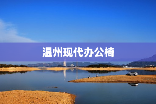 温州现代办公椅(休闲办公椅)