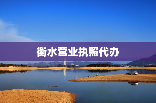 衡水营业执照代办(秦皇岛营业执照代办)