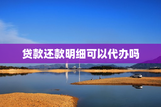 贷款还款明细可以代办吗(贷款还款明细表怎么打)