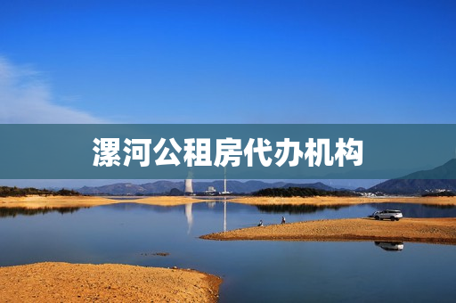 漯河公租房代办机构(漯河公租房申请流程)