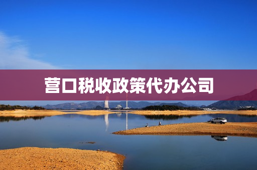 营口税收政策代办公司(劳务派遣税收政策)