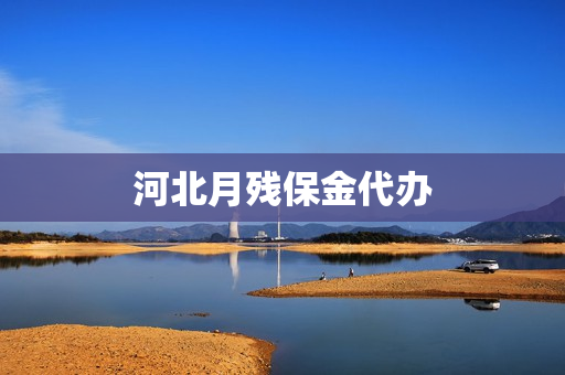 河北月残保金代办(河北省残保金征收标准)