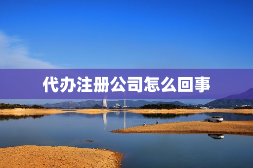代办注册公司怎么回事(1元注册公司是怎么回事)