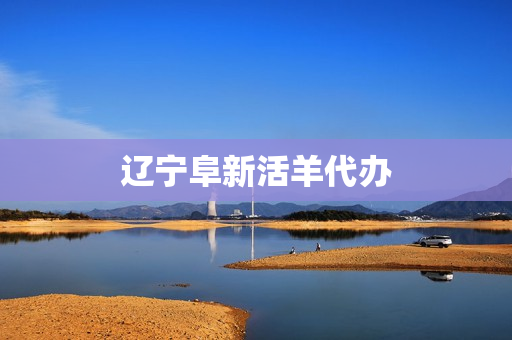 辽宁阜新活羊代办(阜新活羊交易市场地址)