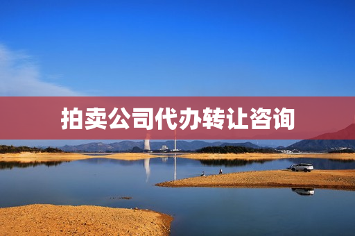 拍卖公司代办转让咨询(拍卖公司转让价格)