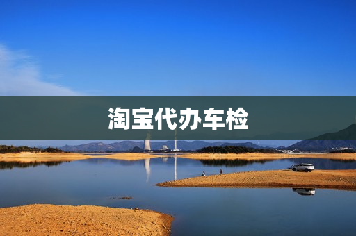 淘宝代办车检(代办车辆年检服务)