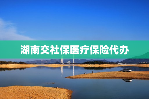 湖南交社保医疗保险代办(湖南交医疗保险在手机上怎么交)
