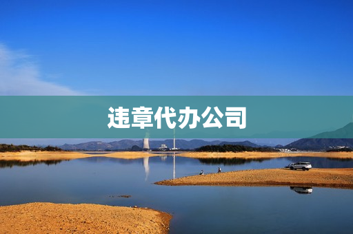 违章代办公司(异地违章代办机构)