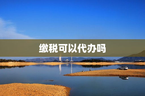 缴税可以代办吗(税务代办)