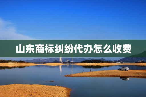 山东商标纠纷代办怎么收费(公司注册代办怎么收费)