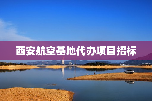 西安航空基地代办项目招标(西安招标代理公司)