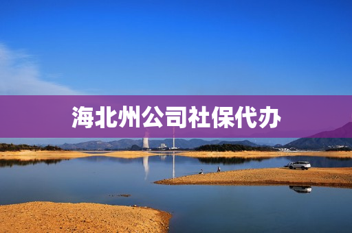 海北州公司社保代办(社保代理)