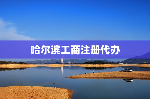 哈尔滨工商注册代办(哈尔滨社保代办公司)