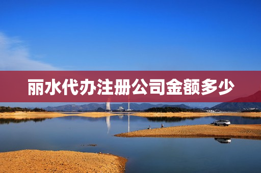 丽水代办注册公司金额多少(注册公司金额随便写吗)