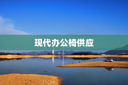 现代办公椅供应(休闲办公椅)