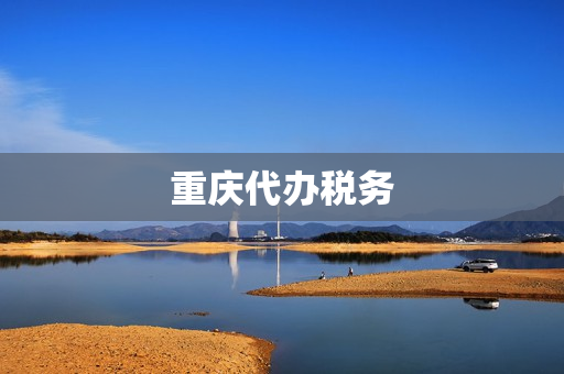 重庆代办税务(重庆税务登记)