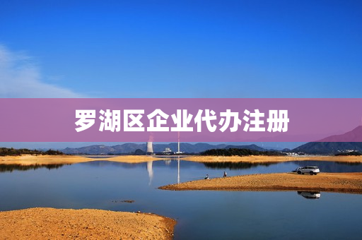罗湖区企业代办注册(深圳公司代办工商注册)