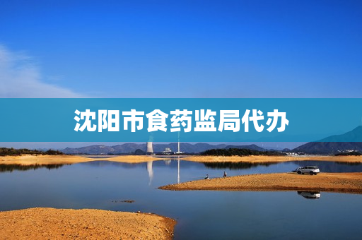 沈阳市食药监局代办(沈阳市药监局领导名单)