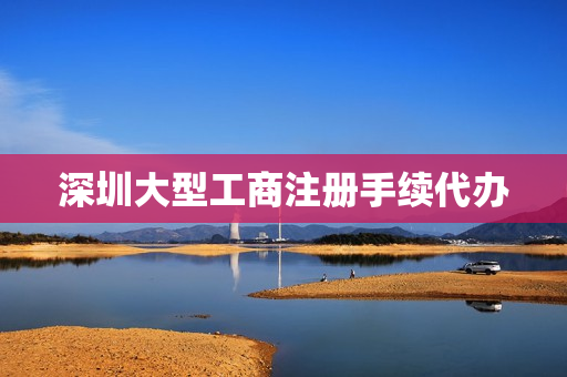 深圳大型工商注册手续代办(深圳注册公司办理机构)