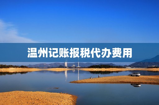 温州记账报税代办费用(记账申报)