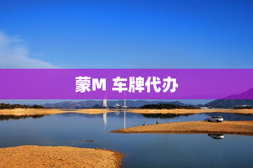蒙M 车牌代办(蒙M哪儿的车牌)