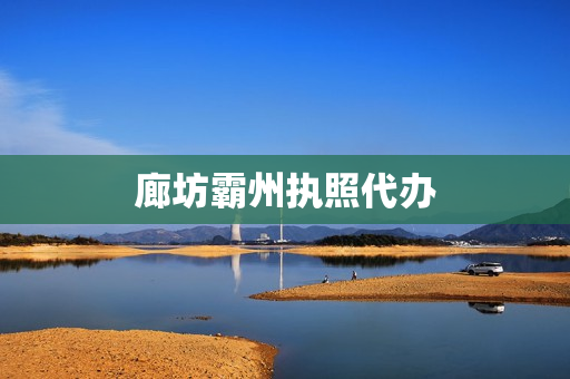 廊坊霸州执照代办(营业执照可以代办吗)