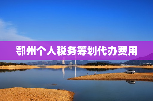 鄂州个人税务筹划代办费用(劳务公司税务筹划)