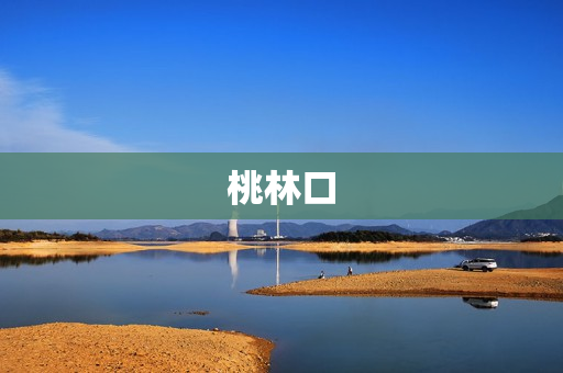 桃林口(桃林口在哪里)