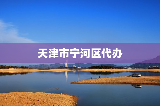 天津市宁河区代办(宁河区行政许可服务中心)