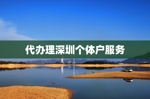 代办理深圳个体户服务(深圳个体户买社保流程)