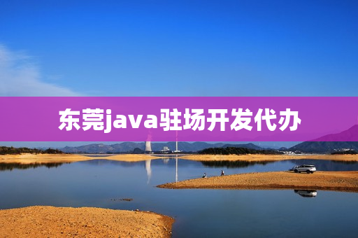 东莞java驻场开发代办(java企业级开发)