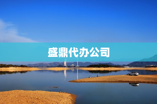 盛鼎代办公司(盛鼎集团是个什么公司)