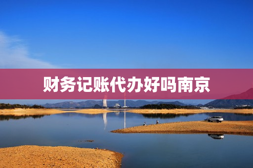财务记账代办好吗南京(财务代账)