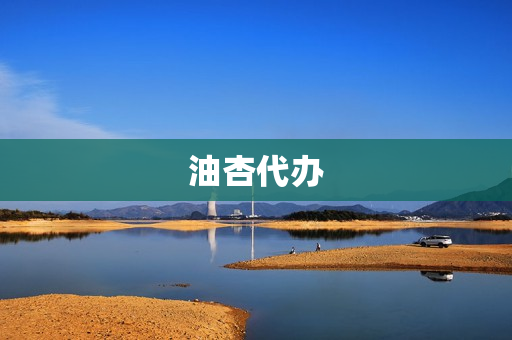 油杏代办(油杏价格多少钱一斤)