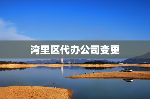 湾里区代办公司变更(代办公司)