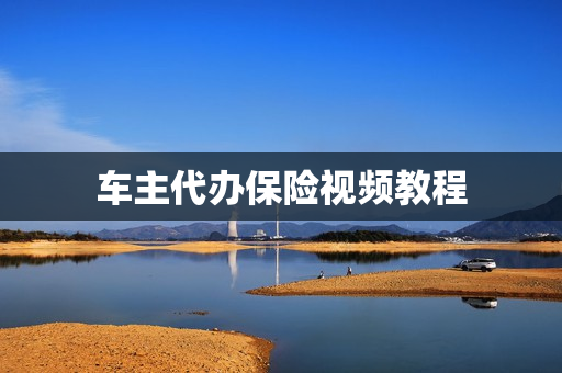 车主代办保险视频教程(滴滴车主模拟接单全程视频)