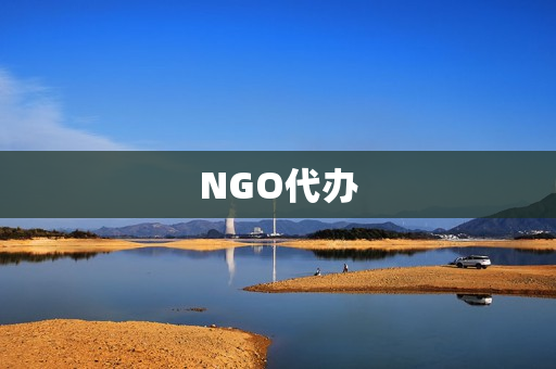 NGO代办(中国NGO)