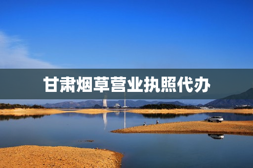 甘肃烟草营业执照代办(个体营业执照如何办)