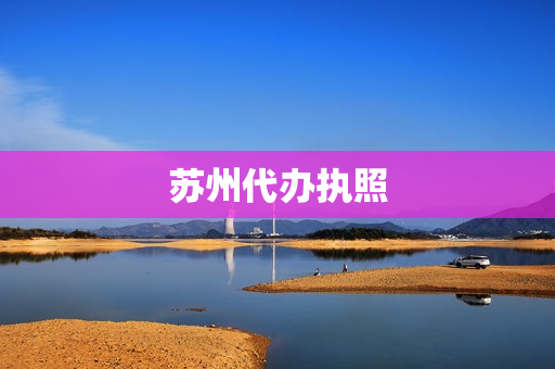 苏州代办执照(代办执照)