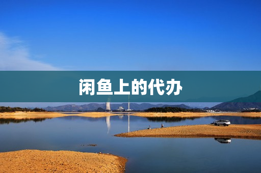闲鱼上的代办(闲鱼代写合法吗)